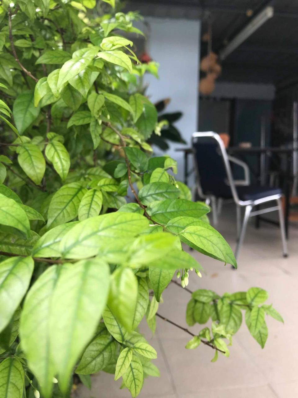 Jeesnail Guesthouse 曼谷 外观 照片