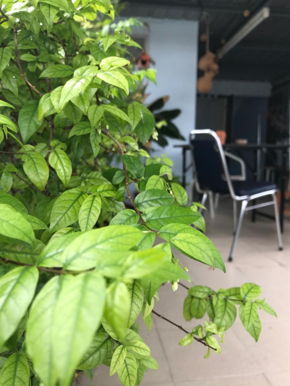 Jeesnail Guesthouse 曼谷 外观 照片